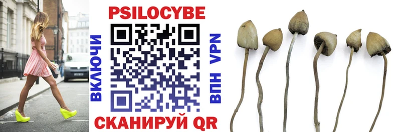 Псилоцибиновые грибы GOLDEN TEACHER  Купить закладки  Пласт 